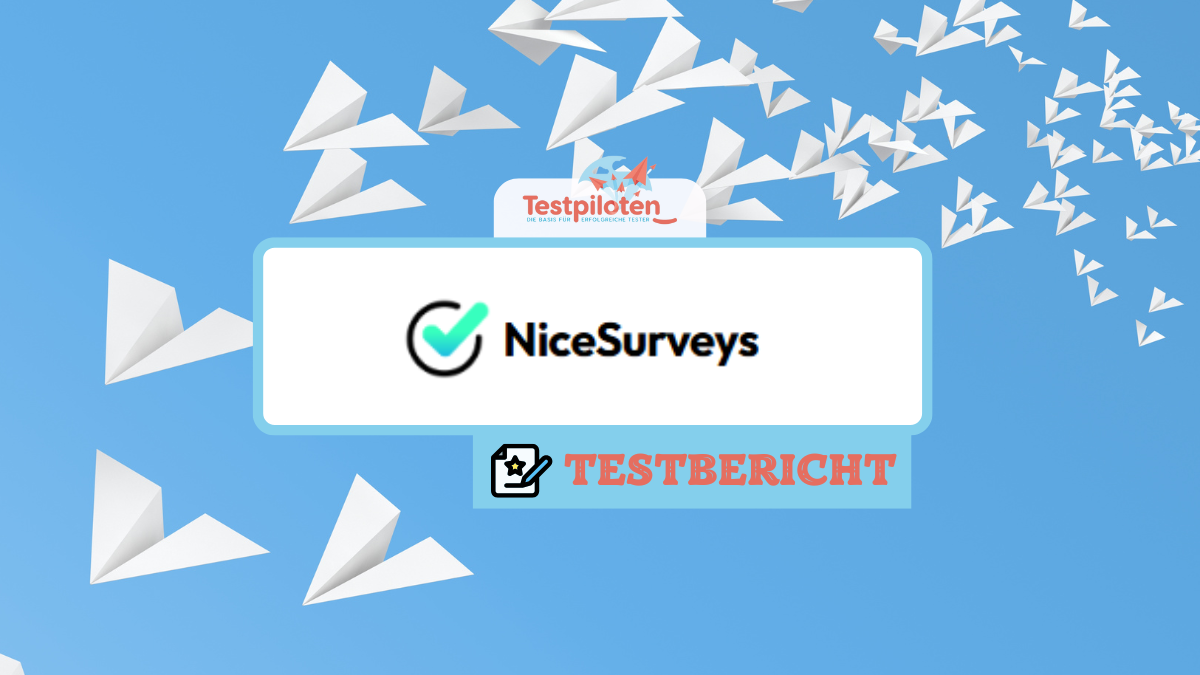 Nicesurveys im Test - der Bericht